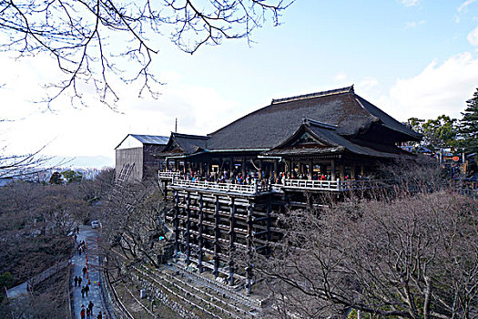 买女性催清春药求购微信号162-162863